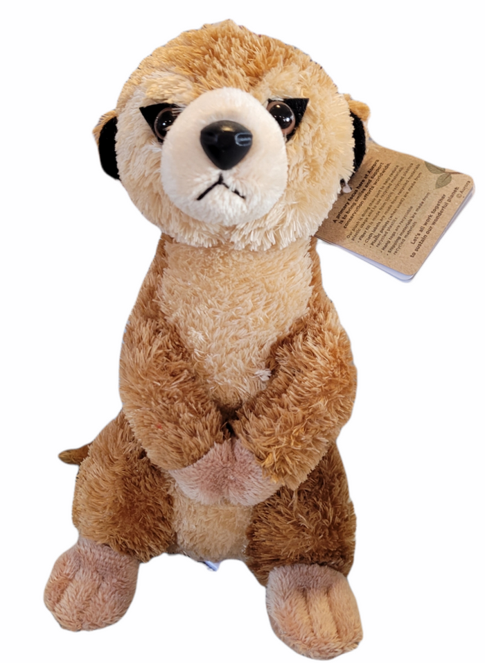 Aurora - Meerkat