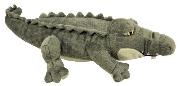 Aurora Miyoni - Alligator