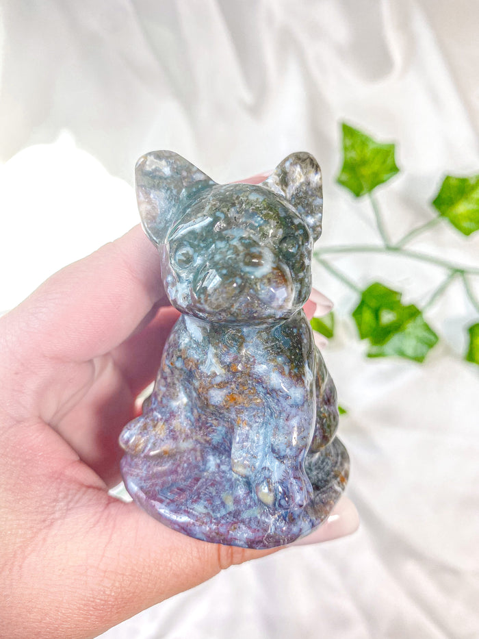 Ocean Jasper French Bull Dog