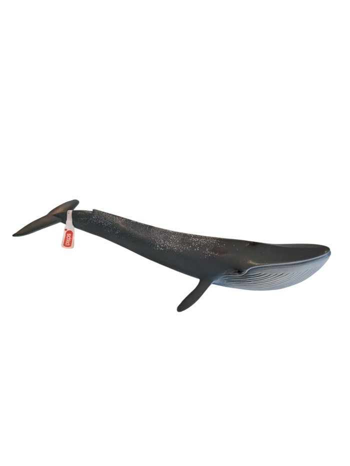 Schleich - Blue Whale