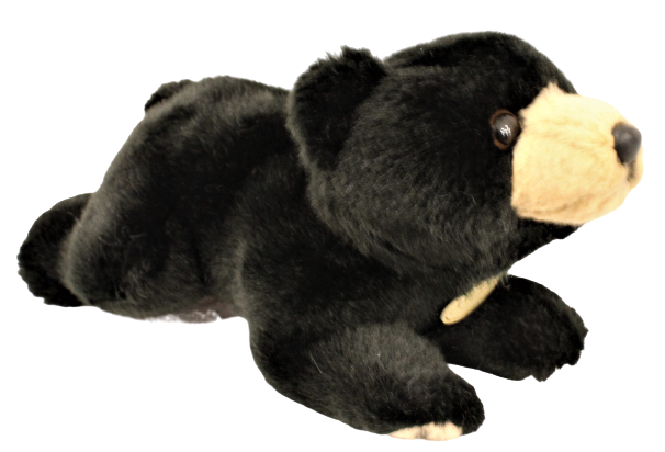 Aurora Miyoni - Black Bear