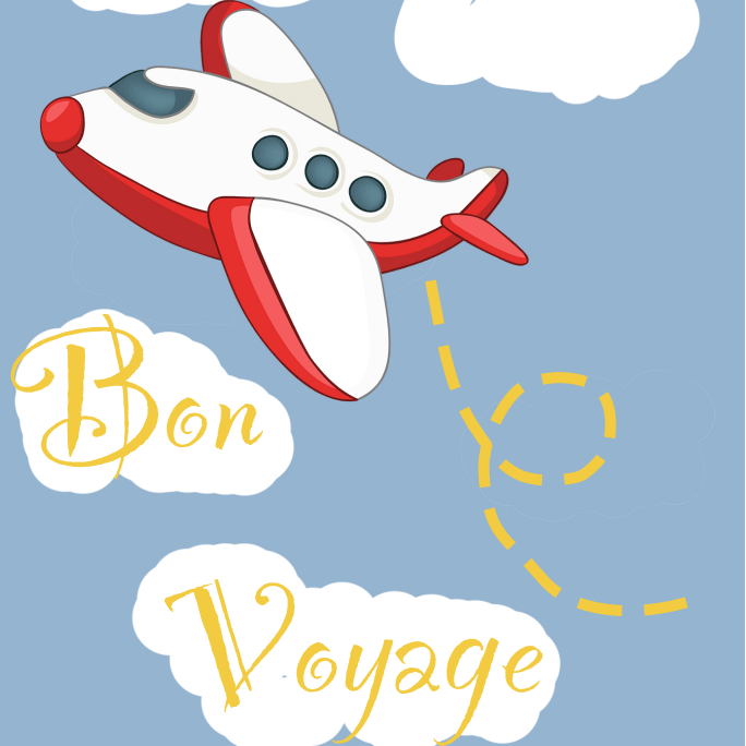 Bon Voyage Running Socks (No Show)