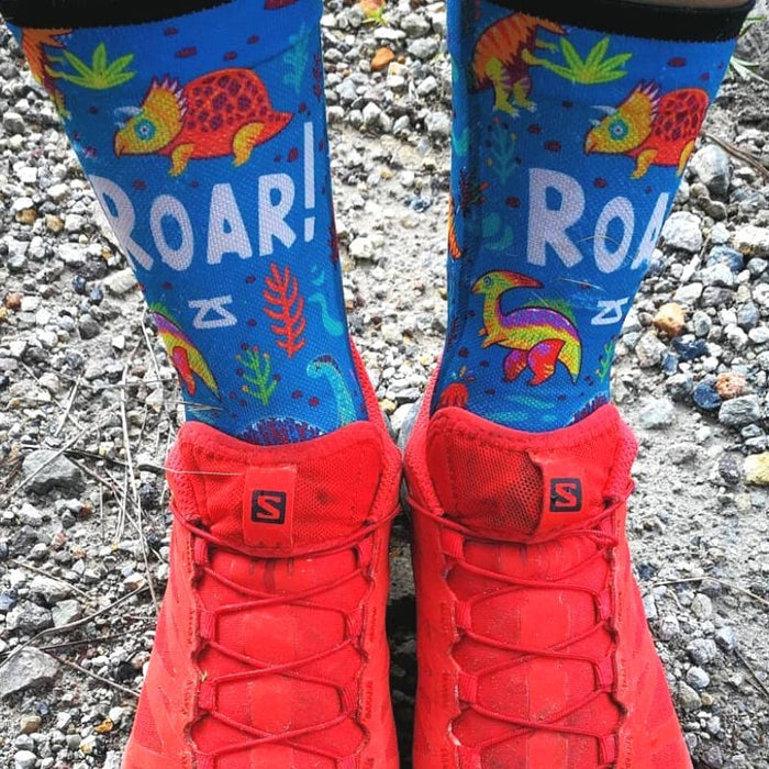 Dinosaurs Socks (Mini Crew)Socks - Zensah