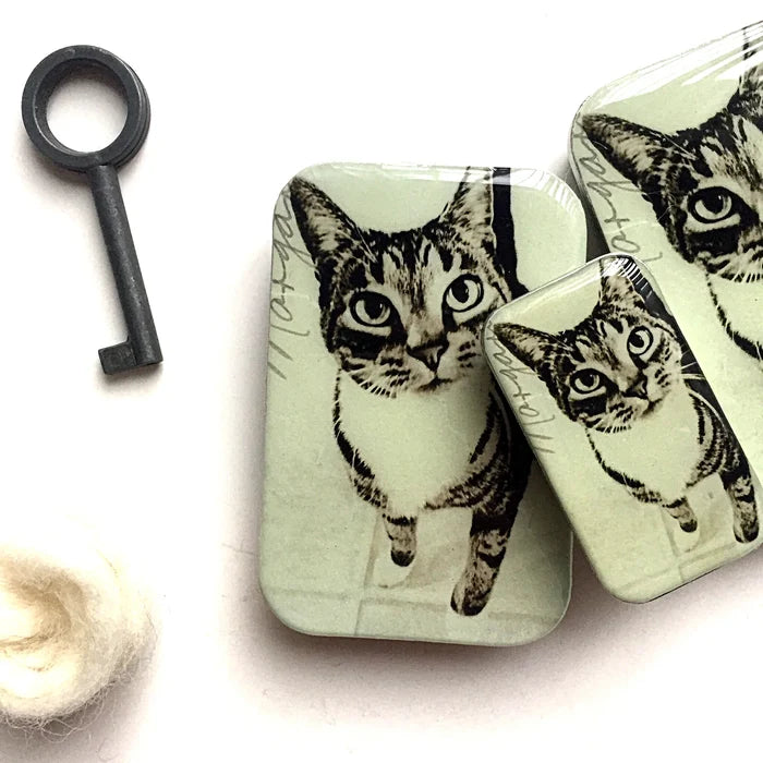 Cat Tin - Large