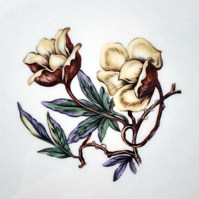 Flintridge Avalon Dinner Plate Set of 2 Floral Sage Green and Gold Trim Ceramic