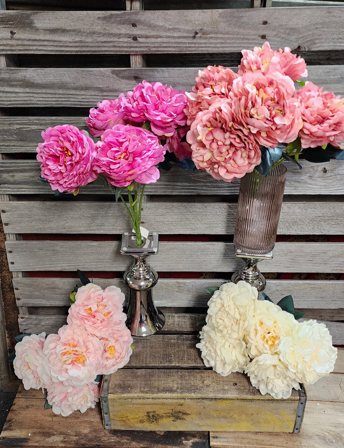 High Quality Peony Bush x 5 Heads