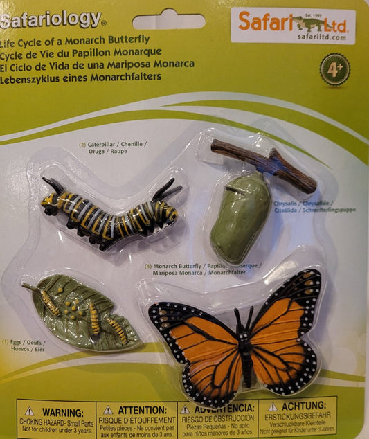 Life Cycle of a Monarch Butterfly