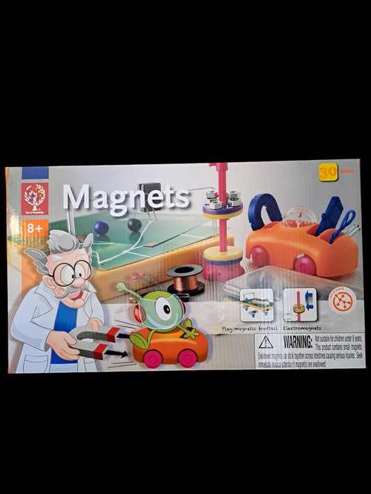 Magnets 30 Activities