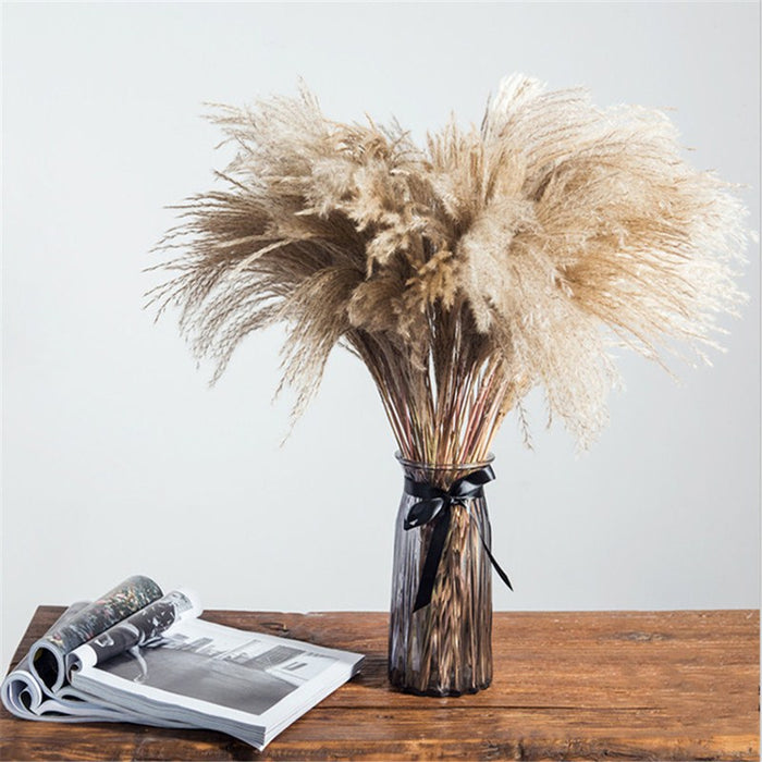 30pcs small pampas / M