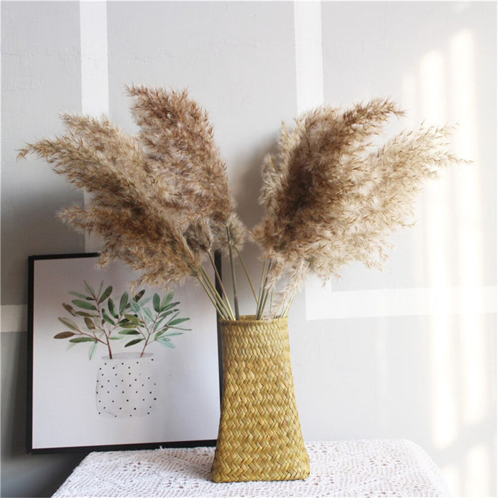 10 pcs 20pcs Free shipping real dried pampas grass decor wedding  flower bunch  natural plants decor
