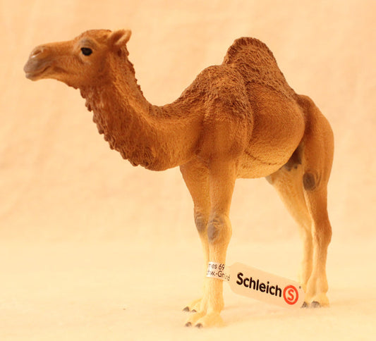 Schleich - Dromedary