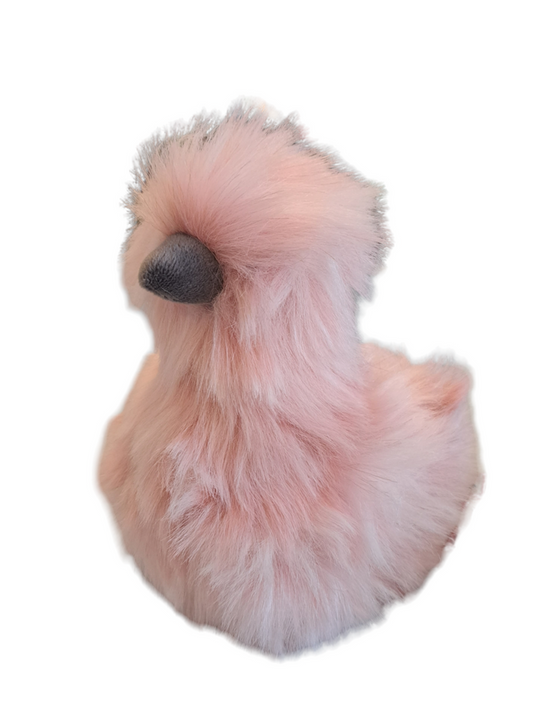 Silky Chick