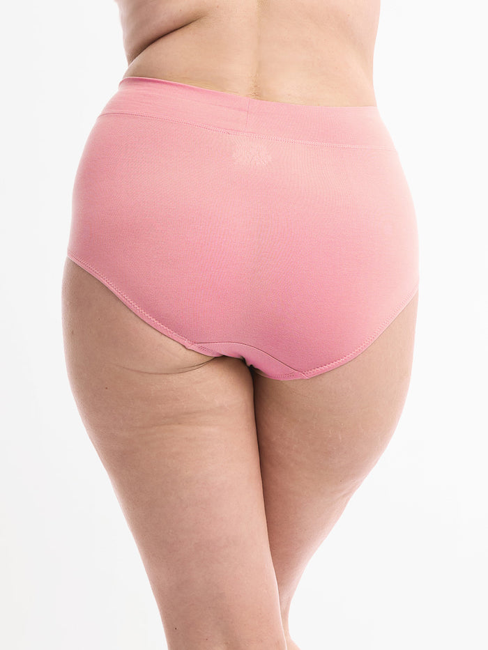 Women's Smoothlines Full Brief 2 Pack
